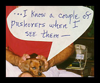 Dachshund  - I know a couple of pushovers when I see them.